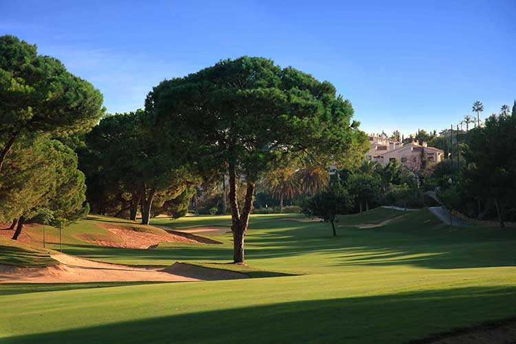 Experience Championship golf in Marbella