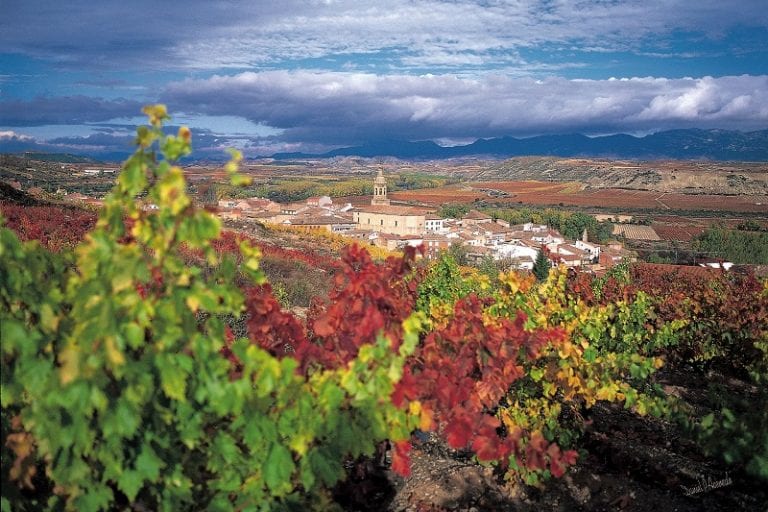 ENTRIES SET TO POUR IN FOR ‘RACE TO RIOJA’