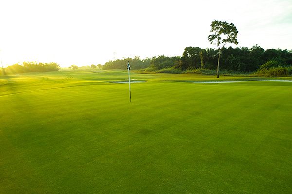 Fall In Love With Nigeria’s Most Beautiful Golf Courses