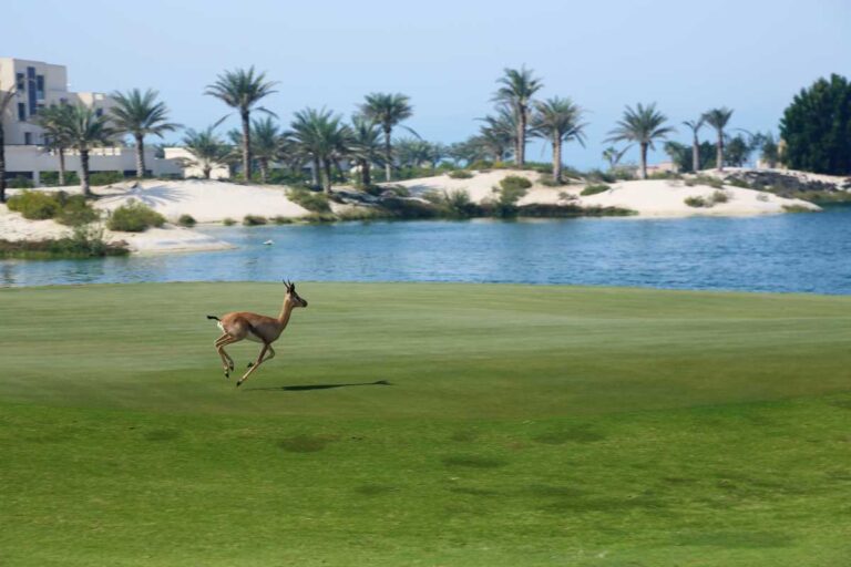 Saadiyat Beach Golf Club receives recertification Global Environmental initiative award