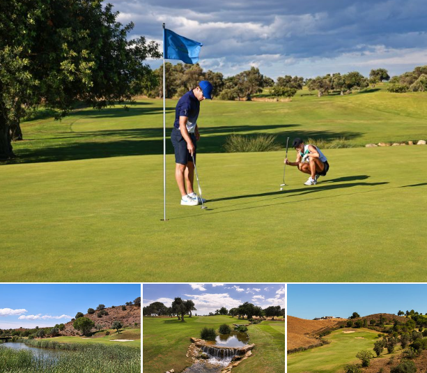 Discovery Hotel Management via TEE TIMES VIA LINKEDIN