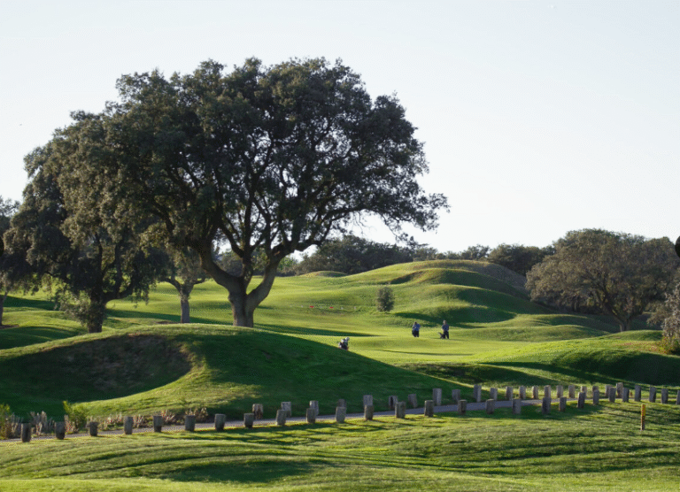 Greater Madrid Golf linkedin image 1