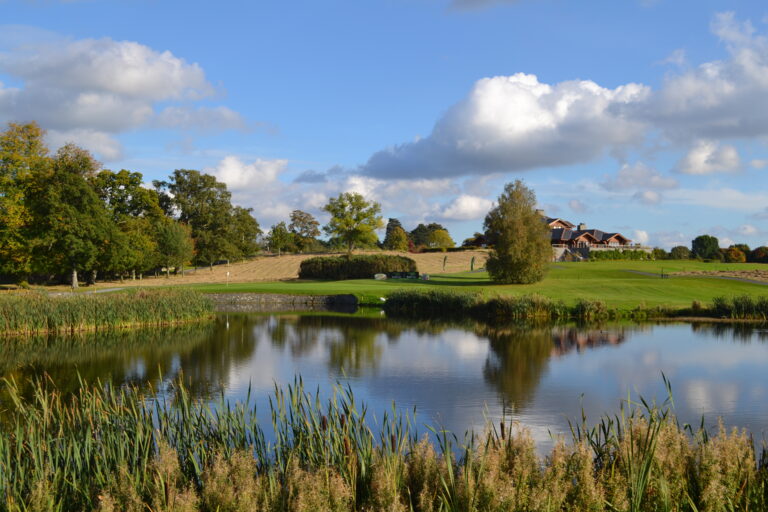 Luttrellstown (ds)