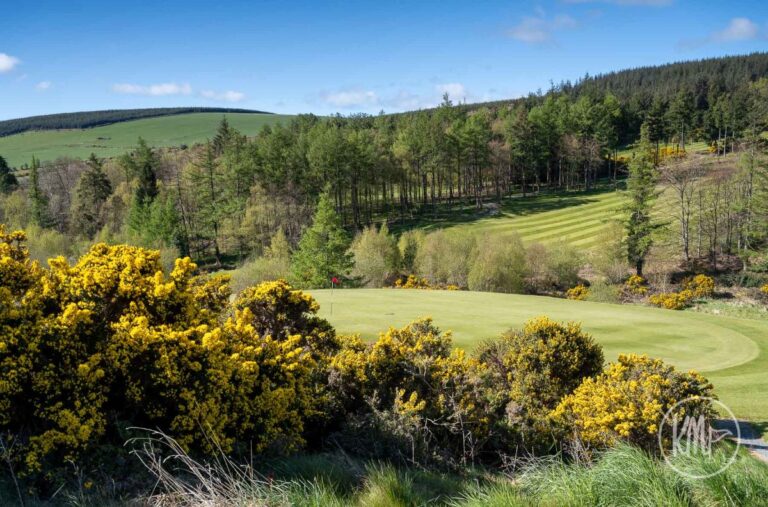 Macreddin 2021 May 13 green to 15 fairway 3863