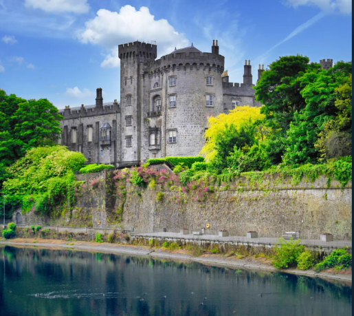 Leinster region 2026 crop